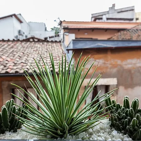 Campo Penthouse *